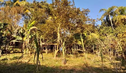 Chácara para Venda em Mogi das Cruzes, Vila Moraes, 1 dormitório, 1 banheiro