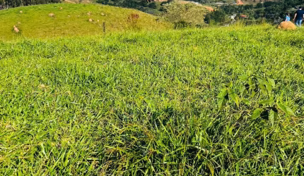 Lote Residencial com Toda Infraestrutura