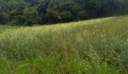 Temos terrenos proximos a area de lazer