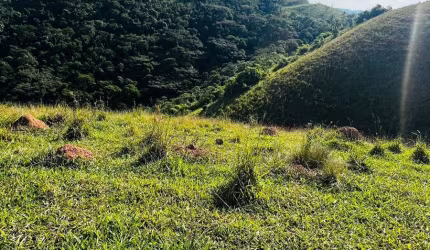 liberdade Criativa Ampliada:  A construção modular não limita a criatividade. Com módulos personalizáveis,  você pode projetar espaços únicos e inovadores, explorando diferentes formas,  cores e mater