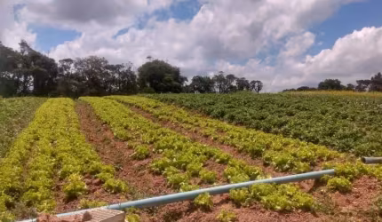 L1- Aceitamos veiculo como parte do pagamento!