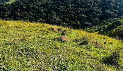 Viva cercado pelo verde – chácara dos sonhos