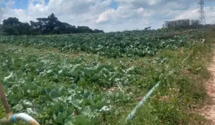 Terreno Rodeado por Verde e Tranquilidade