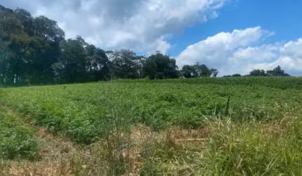 Natureza e Sossego em um Só Lugar
