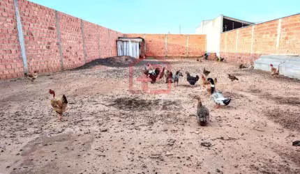 Terreno à venda no Jardim Botucatu (Rubião Júnior), Botucatu  por R$ 120.000