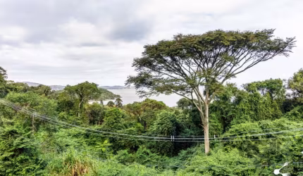 TERRENO, BAIRRO SÉTIMO CÉU, PORTO ALEGRE/RS      &lt;BR&gt;&lt;BR&gt; &lt;BR&gt;Excelente terreno no Bairro Sétimo Céu, com vista para o pôr do Sol permanente, contando com 1236m². Este terreno tem po