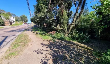 TERRENO PLANO 2.500M² VILA NOVA    &lt;BR&gt;&lt;BR&gt;Excelente Terreno muito bem localizado, em avenida de grande circulação e com plano diretor da prefeitura para duplicação. Ficará a 30m da nova r