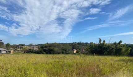 Terreno alto, muito bem localizado na  avenida Lami,  com escritura. Quase 1 Hectare.