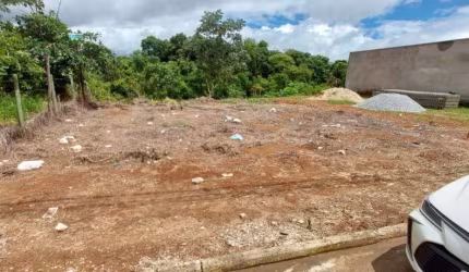 Lote jardim Ipê