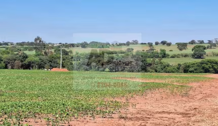 Sítio para Venda em Potirendaba, Zona Rural