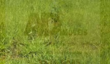 Terreno para Venda em São José do Rio Preto, Parque Vila Nobre