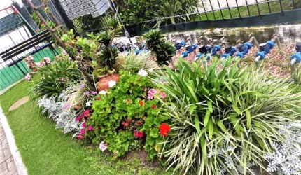 Casa para venda, 2 quarto(s),  Hípica, Porto Alegre - CA548