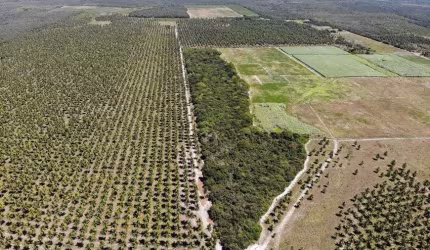 fazenda 800 hectares perfeitas para enegia solar e eóloicas.