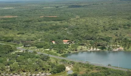 fazenda 302 hectares terra plana muita água