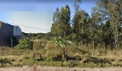 Terreno, 10000 m² - venda por R$ 3.500.000,00 ou aluguel por R$ 4.500,00/mês - F