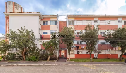 Apartamento com 50m² á venda - Fragata - Pelotas/RS