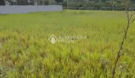 Terreno à venda na Das Flores, 205, Alto Arroio, Imbituba, 480 m2 por R$ 450.000