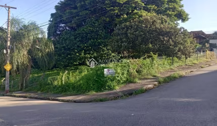 Terreno à venda na Antônio José Duarte / Travessa América, 1, Coqueiros, Florianópolis, 769 m2 por R$ 1.400.000