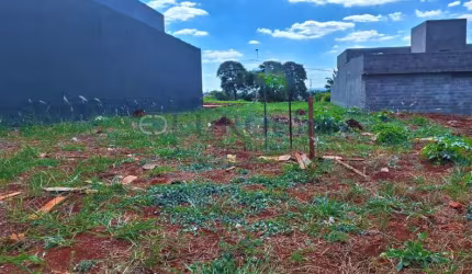 Venda - Terreno - Jardim Itapuã - Santa Bárbara D'Oeste - SP