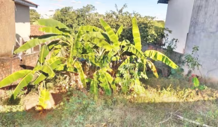 Venda - Terreno - Residencial Praia dos Namorados - Americana - SP