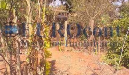 Venda - Chácara - Água Espraiada - Limeira - SP