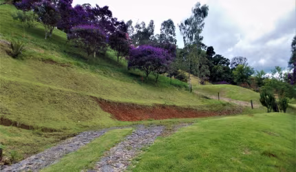 Lote Urbano
