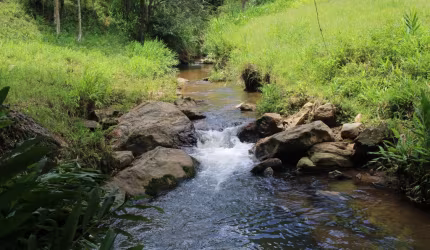 Excelente oportunidade para quem busca tranquilidade e contato com a natureza!