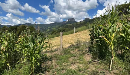 Venda de Lote de Terreno - São Bento do Sapucaí