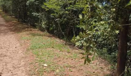 Vendo Lote região Vila da Serra Bairro Jardinaves / Nova Lima
