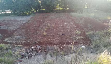 Terreno, 445 m² - venda por R$ 480.000,00 ou aluguel por R$ 1.558,85/mês - Jardim Atami - Maringá/PR