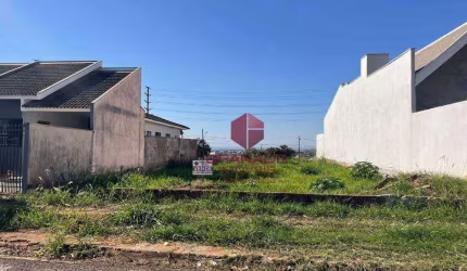 Terreno à venda, 328 m² por R$ 250.000,00 - Jardim São Miguel - Maringá/PR