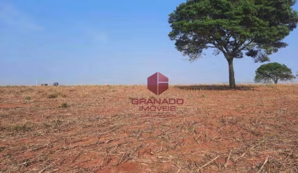 Terreno à venda, 20000 m² por R$ 900.000,00 - Distrito de Iguatemi (Iguatemi) - Maringá/PR