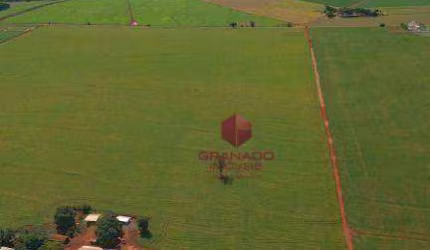 Sítio à venda, 121000 m² por R$ 4.700.000,00 - Conjunto Habitacional João de Barro Thaís - Maringá/PR