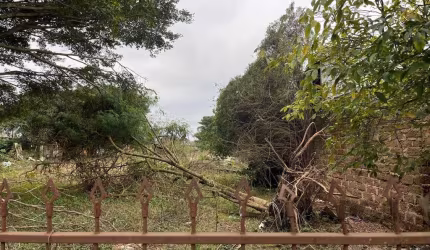 Terreno 3.000m² Bairro São João