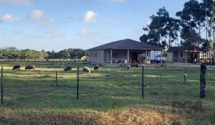 Sítio 3 dormitórios à venda Caravagio Osório/RS