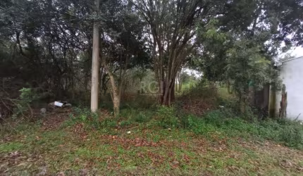 Terreno no bairro Belém Novo