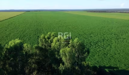 Terreno para Venda - 0m², 0 dormitórios, Centro
