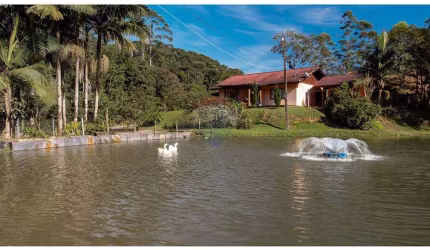 SÍTIO NA VILA ITOUPAVA - BLUMENAU - aceita permuta e parcelamento em até 100x direto com o proprietário.