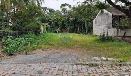 **Terreno à Venda em Timbó - Oportunidade Imperdível!**