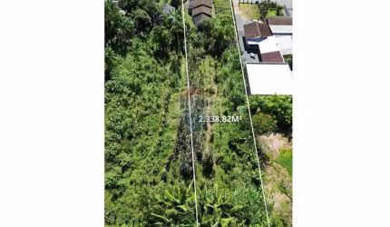 Terreno com 2.338 m² a venda no bairro Ribeirão das Pedras