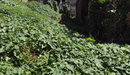 VENDO EXCELENTE TERRENO NA REGIÃO DO RIO SENA