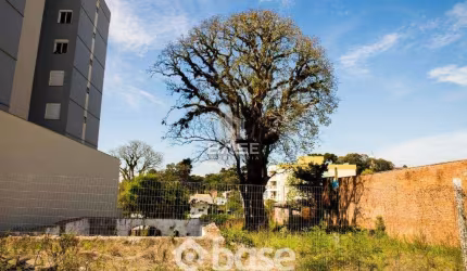 Terreno à venda na Rua Pedro Viezzer, 1580, Presidente Vargas, Caxias do Sul por R$ 760.000