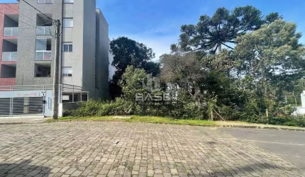 Terreno à venda na Rua Lydia Lauer, 223, Vila Verde, Caxias do Sul por R$ 290.000