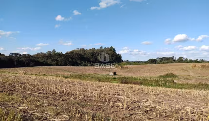 Terreno à venda no Industrial, Farroupilha  por R$ 7.500.000