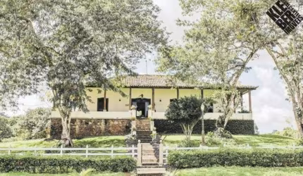 Vendo Fazenda de Cacau e Turismo Rural com 245 hectares em Ilhéus