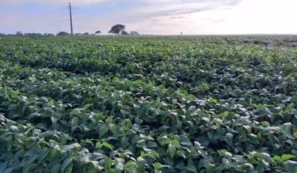 Fazenda para Venda em General Carneiro, Zona Rural