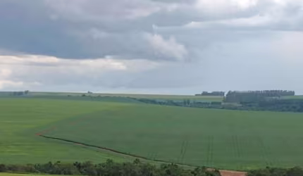 Fazenda para Venda em Campo Verde, Buritis