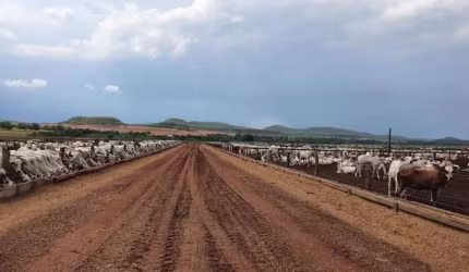 Fazenda para Venda em Ponte Alta do Tocantins, Zona Rural