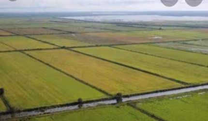 Fazenda para Venda em Formoso do Araguaia, Centro