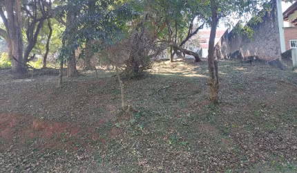 Terreno para Venda em Santana de Parnaíba, Tarumã